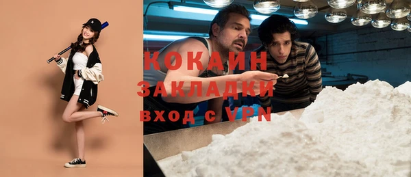 прущие грибы Богданович