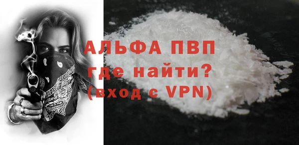 прущие грибы Богданович