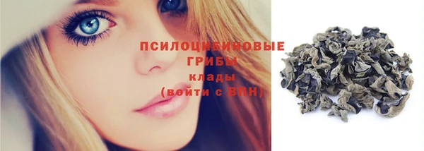 прущие грибы Богданович