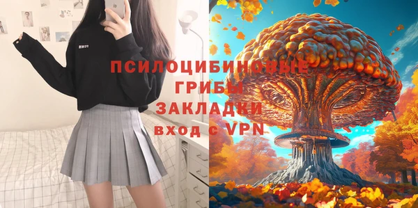 гидропоника Богородицк