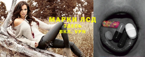 прущие грибы Богданович