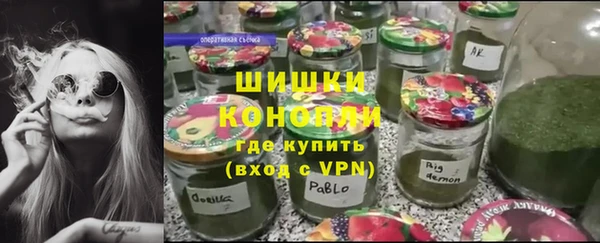 прущие грибы Богданович