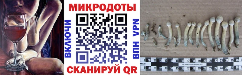 Галлюциногенные грибы Psilocybe  Купить  Лесозаводск 